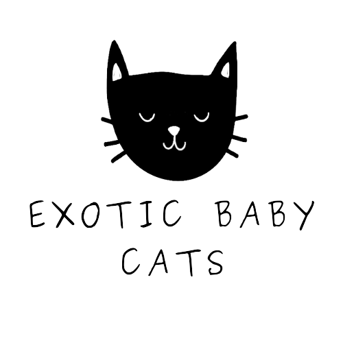CATS_DE_LUXE__FEED__1_-removebg-preview